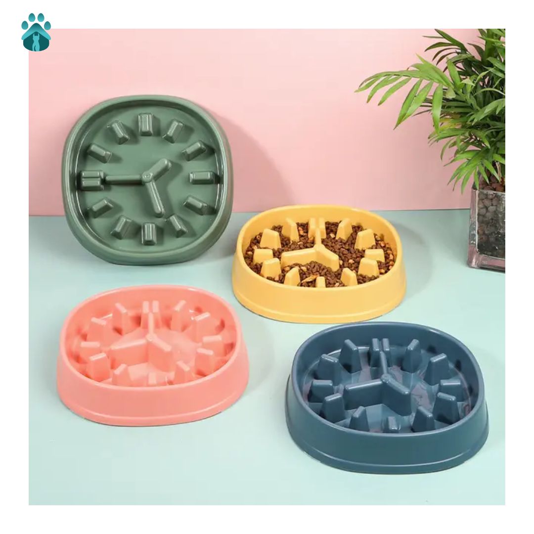 Cuenco Reloj de Alimentación Lenta